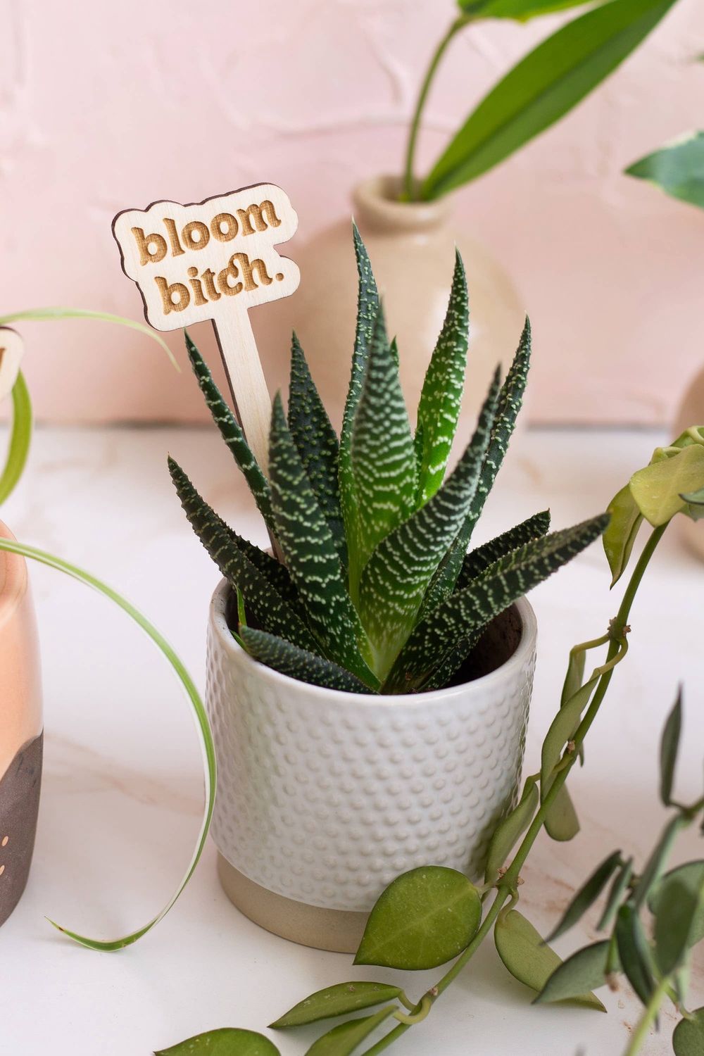 Funny Spring Wooden Plant Markers: Happy Mother's Day!