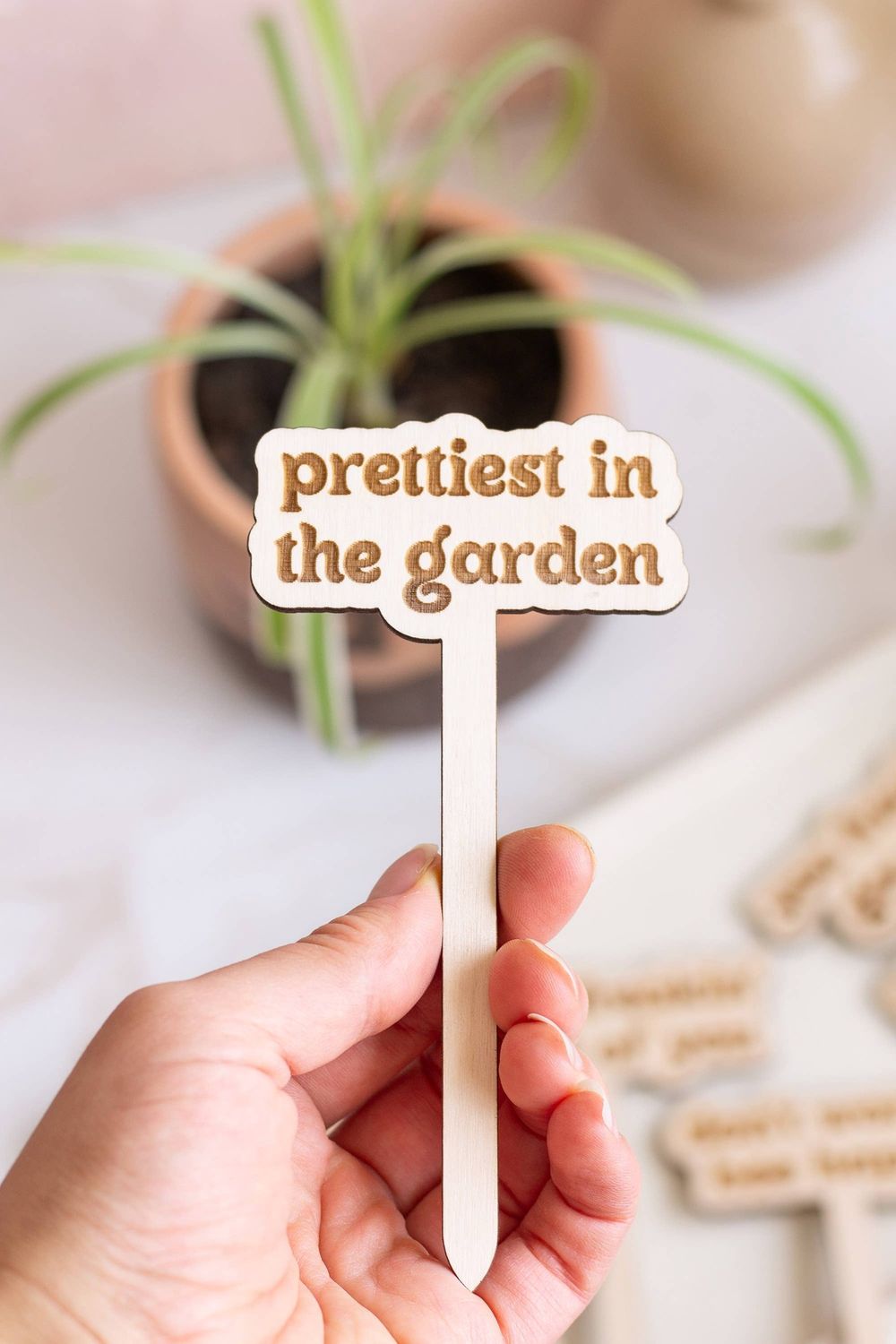 Funny Spring Wooden Plant Markers: Happy Mother's Day!