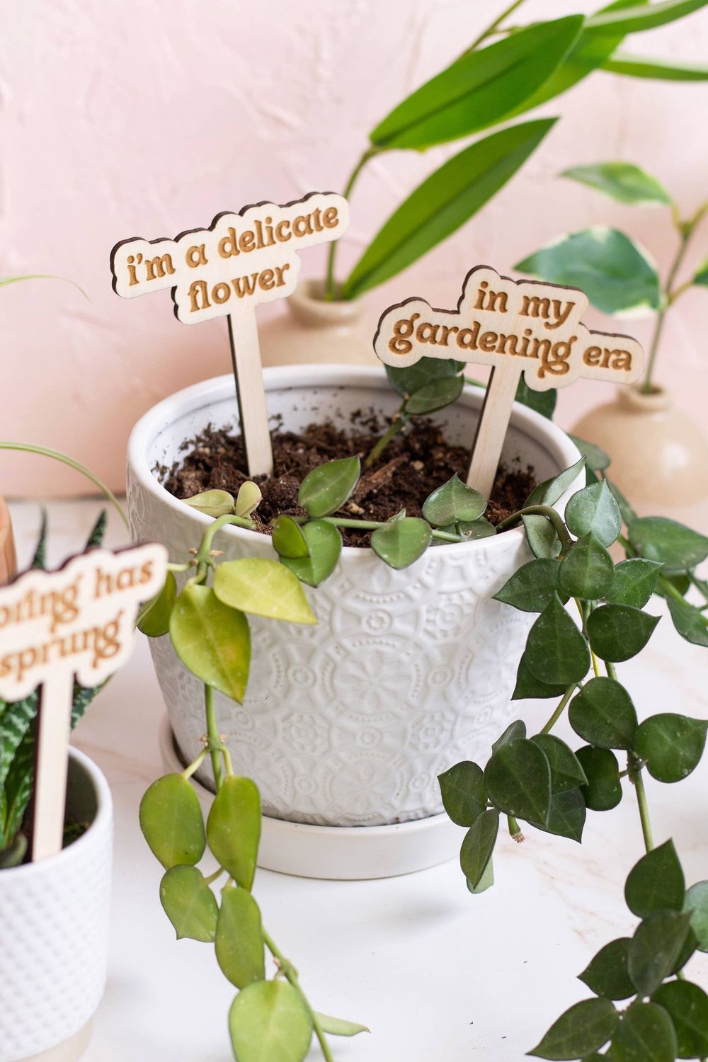 Funny Spring Wooden Plant Markers: Happy Mother's Day!