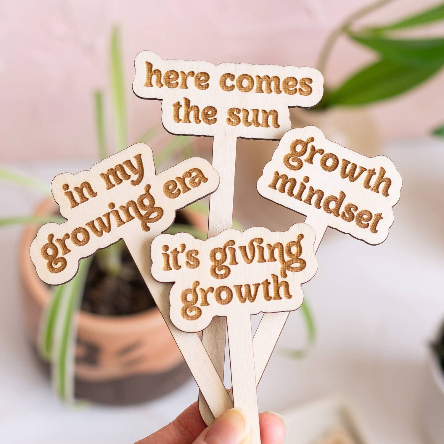 Funny Spring Wooden Plant Markers: Happy Mother's Day!