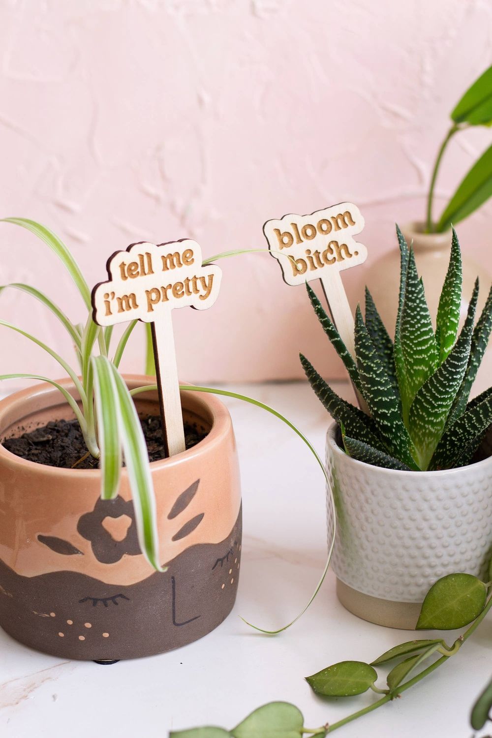 Funny Spring Wooden Plant Markers: Happy Mother's Day!