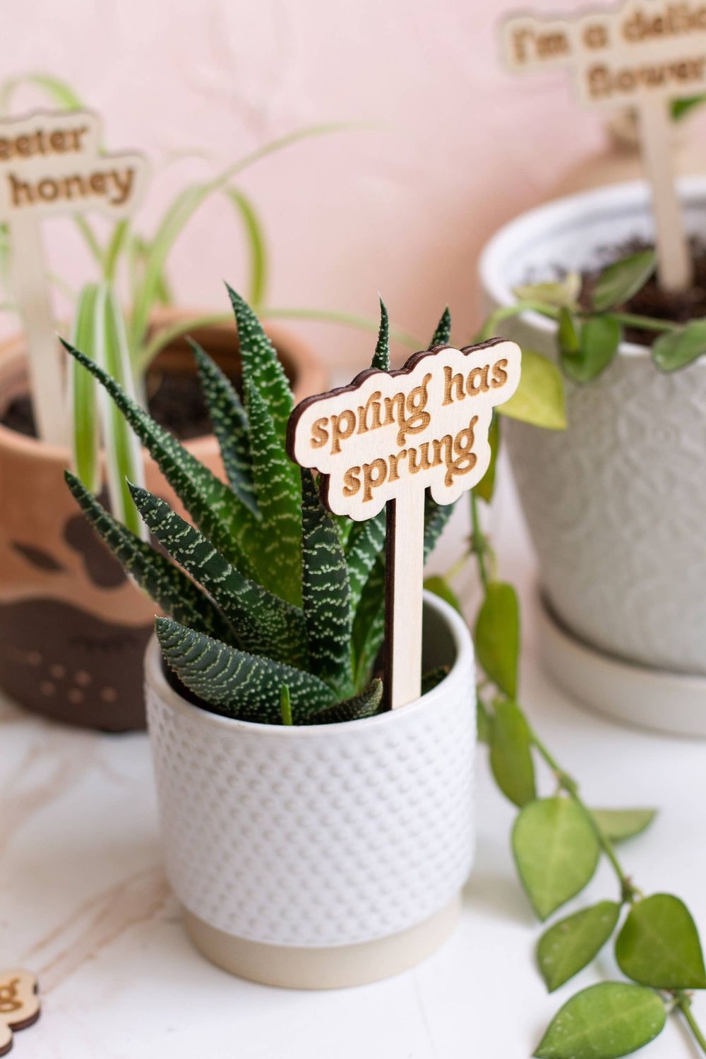 Funny Spring Wooden Plant Markers: Happy Mother's Day!