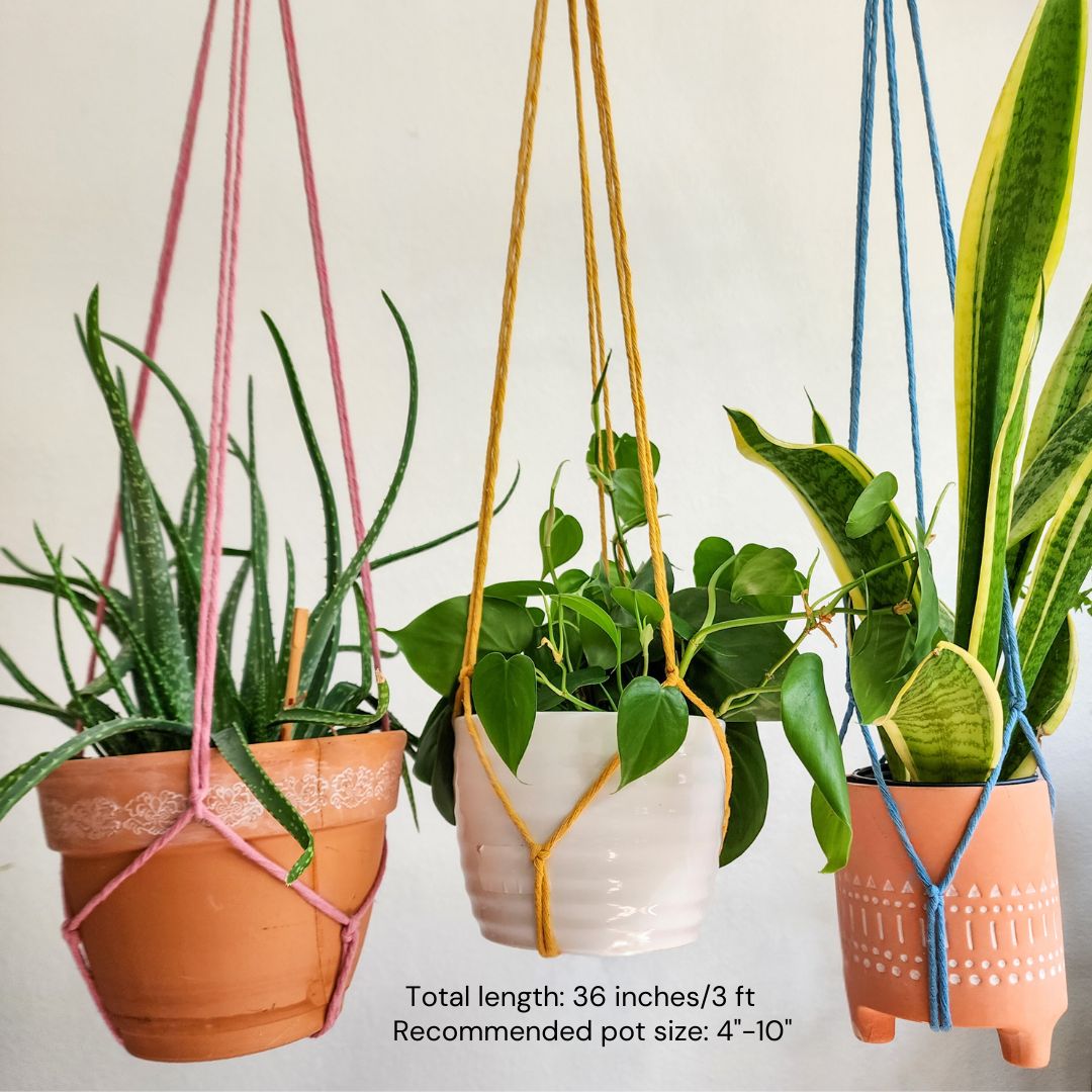 Minimalist Plant Hanger, Tassel-Free Boho Plant Hanging