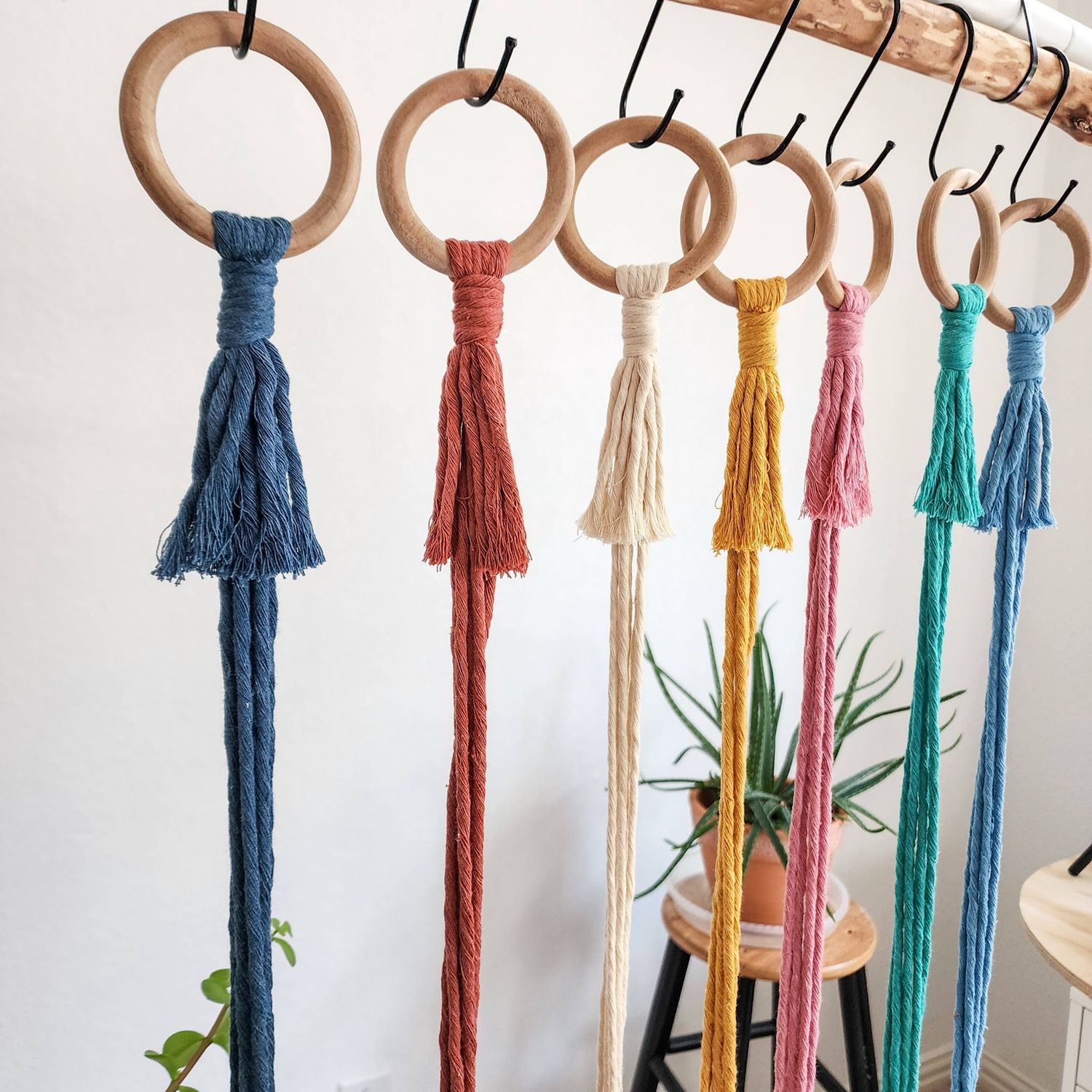 Minimalist Plant Hanger, Tassel-Free Boho Plant Hanging