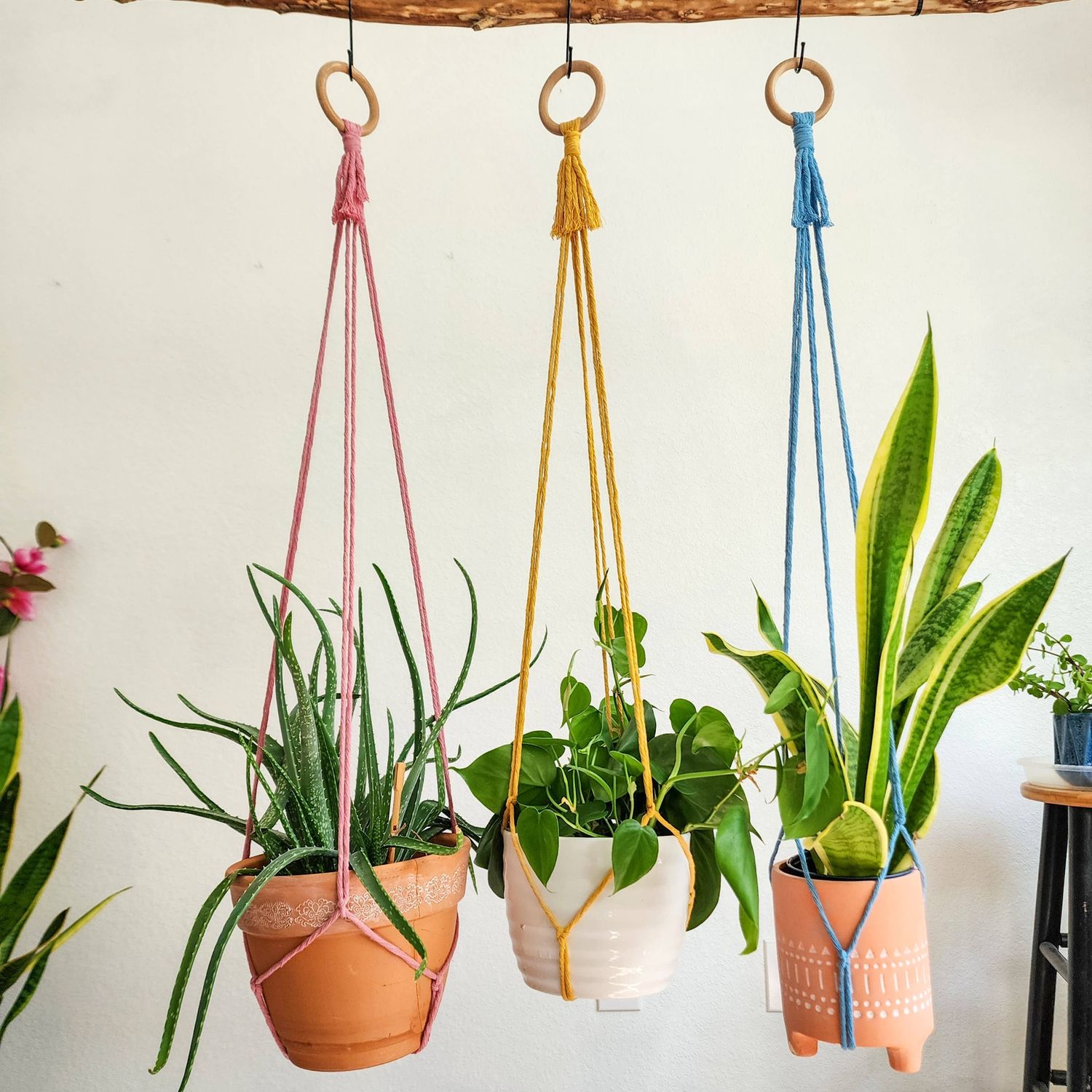 Minimalist Plant Hanger, Tassel-Free Boho Plant Hanging