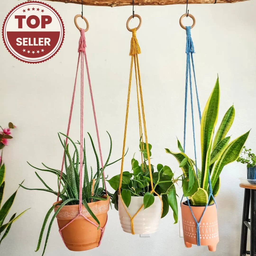 Minimalist Plant Hanger, Tassel-Free Boho Plant Hanging