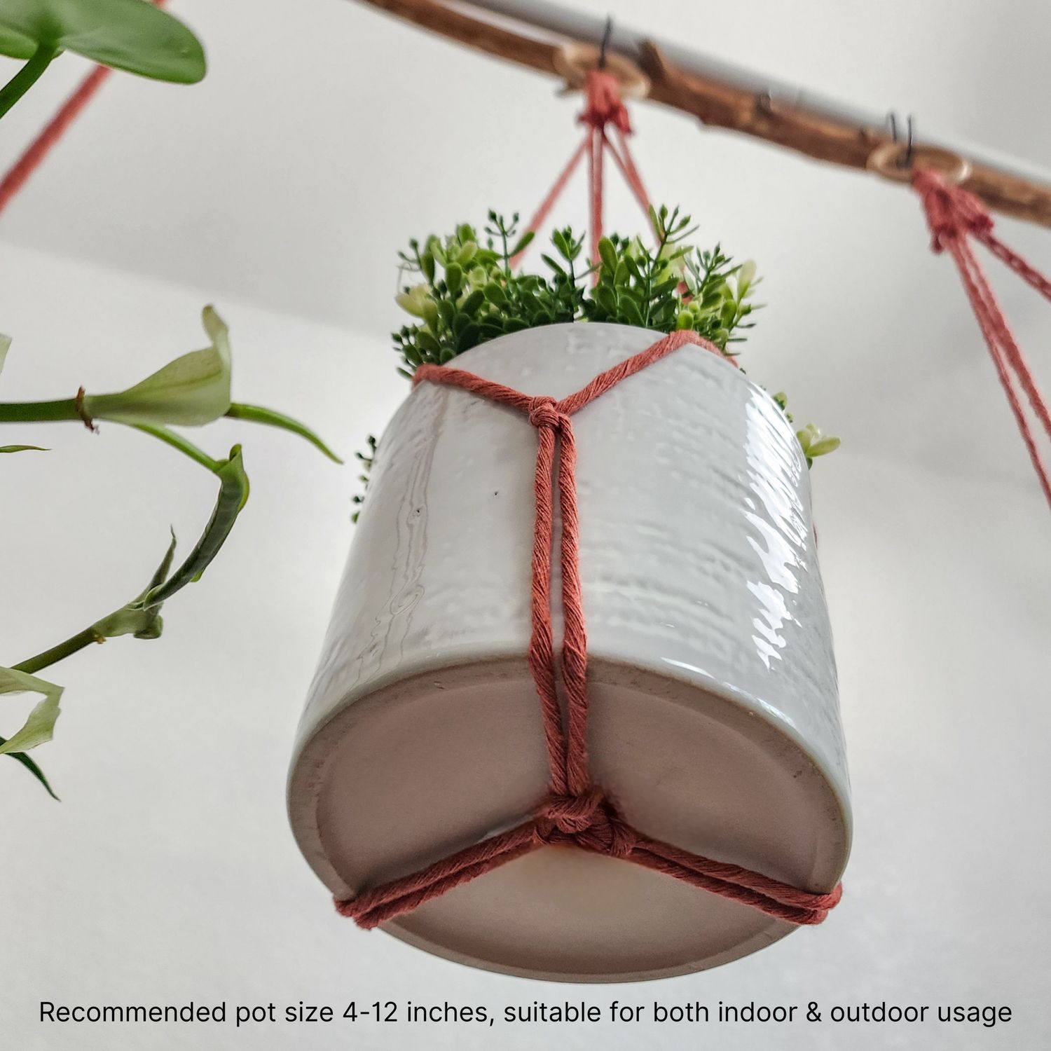 Minimalist Plant Hanger, Tassel-Free Boho Plant Hanging