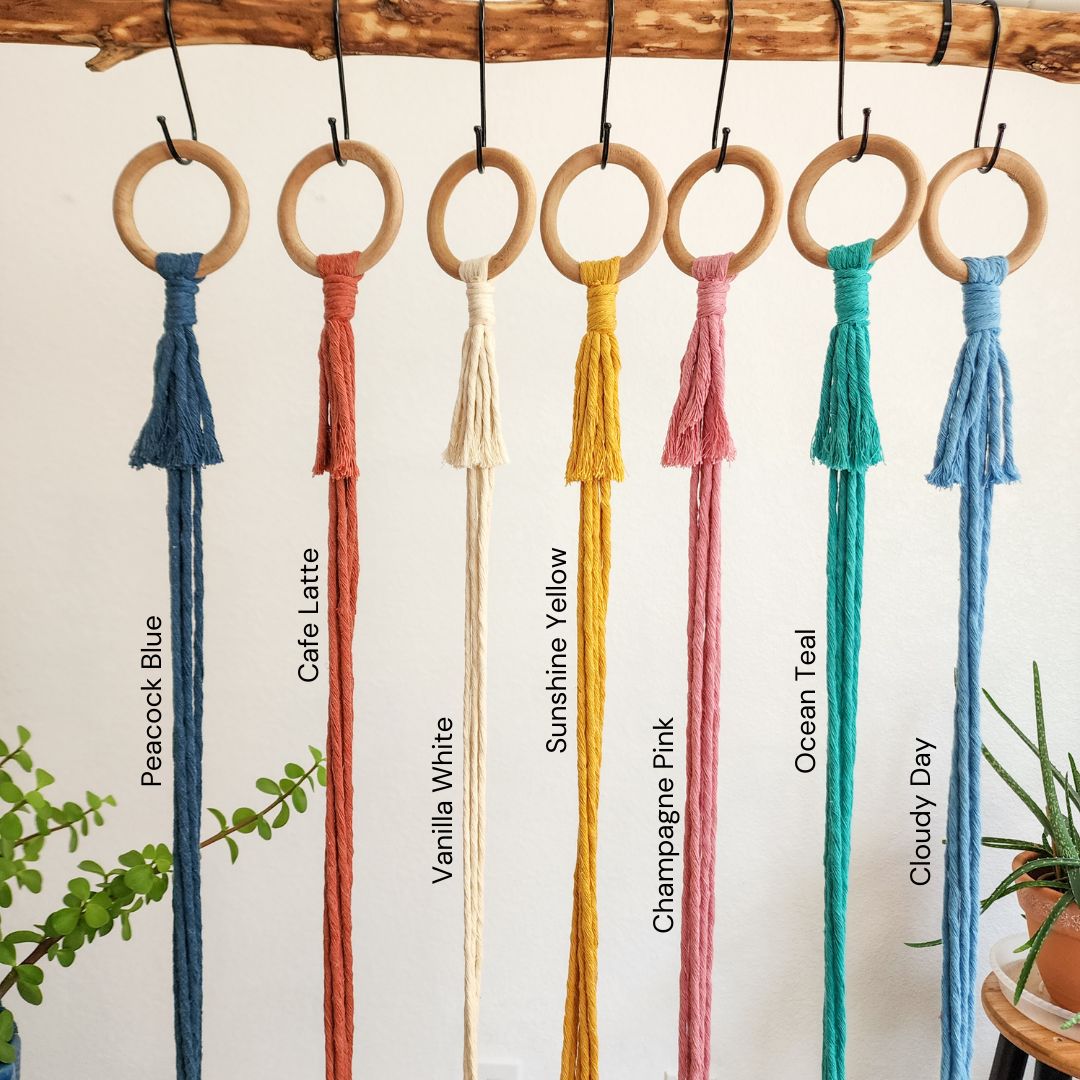Minimalist Plant Hanger, Tassel-Free Boho Plant Hanging