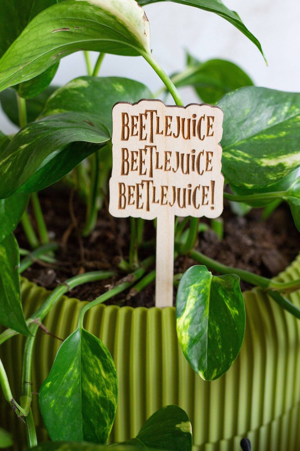 Halloween Wooden Plant Markers : I smell children