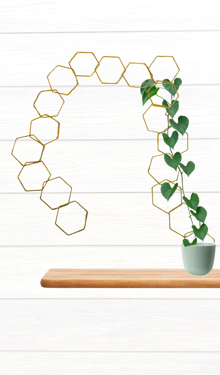 Metal Chain Trellis