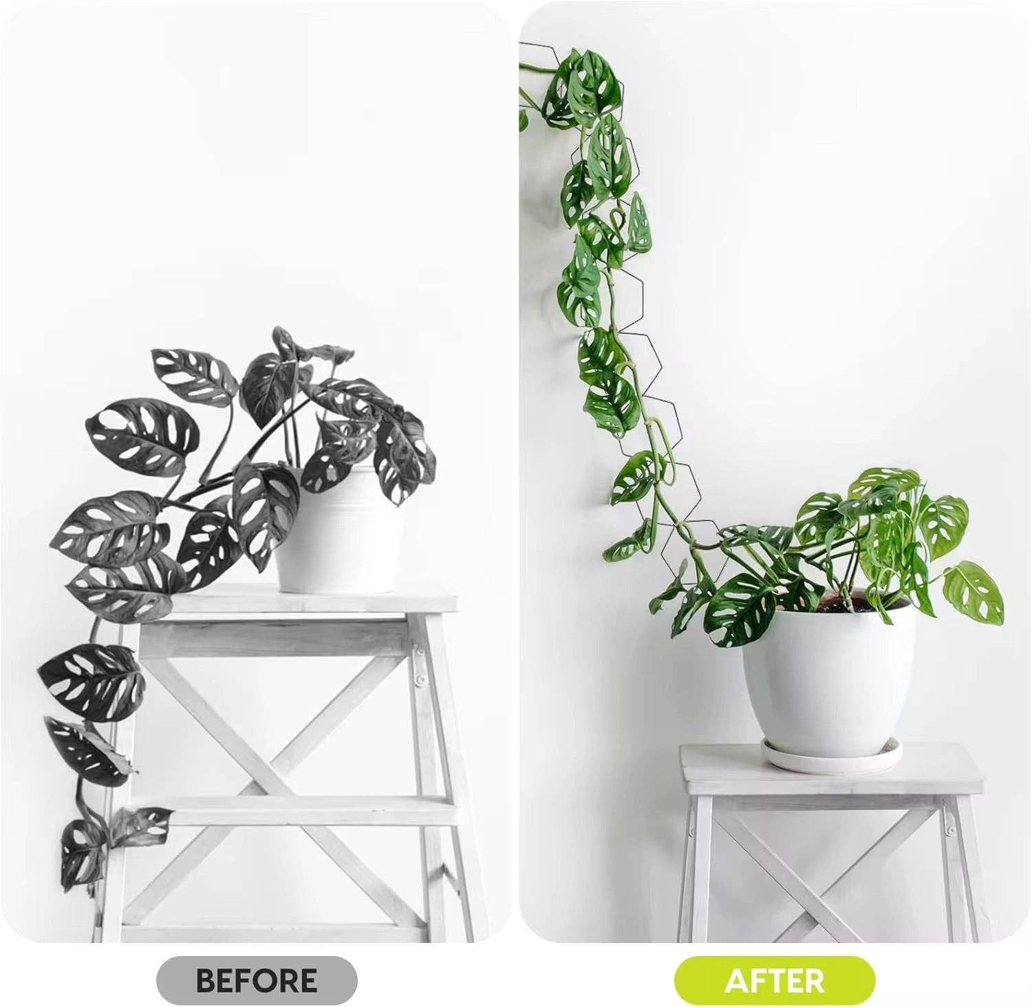 Metal Chain Trellis