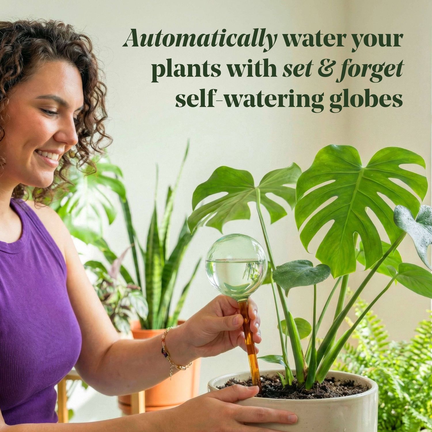 Self-Watering Plant Globes