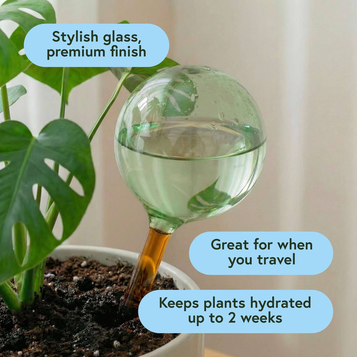 Self-Watering Plant Globes