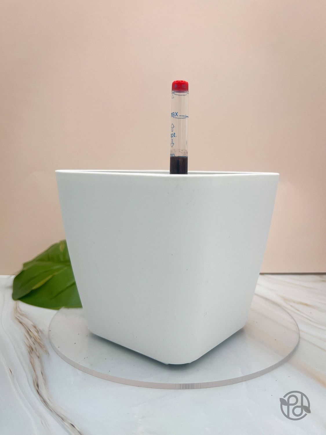 6" Self Watering Moo Pot: White