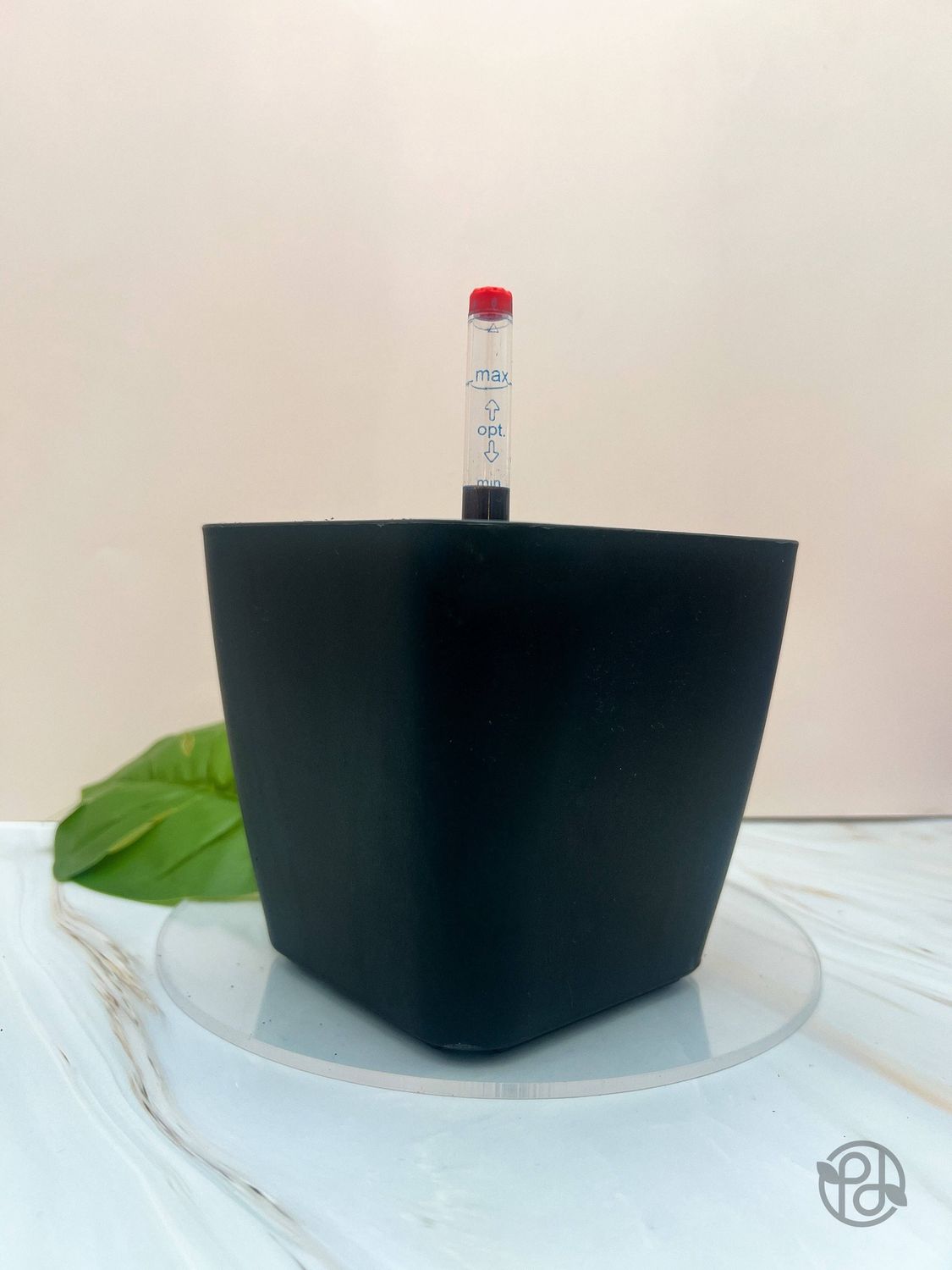 6" Self Watering Moo Pot: White