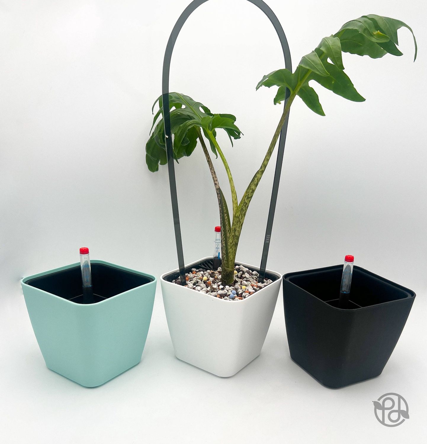 6" Self Watering Moo Pot: White