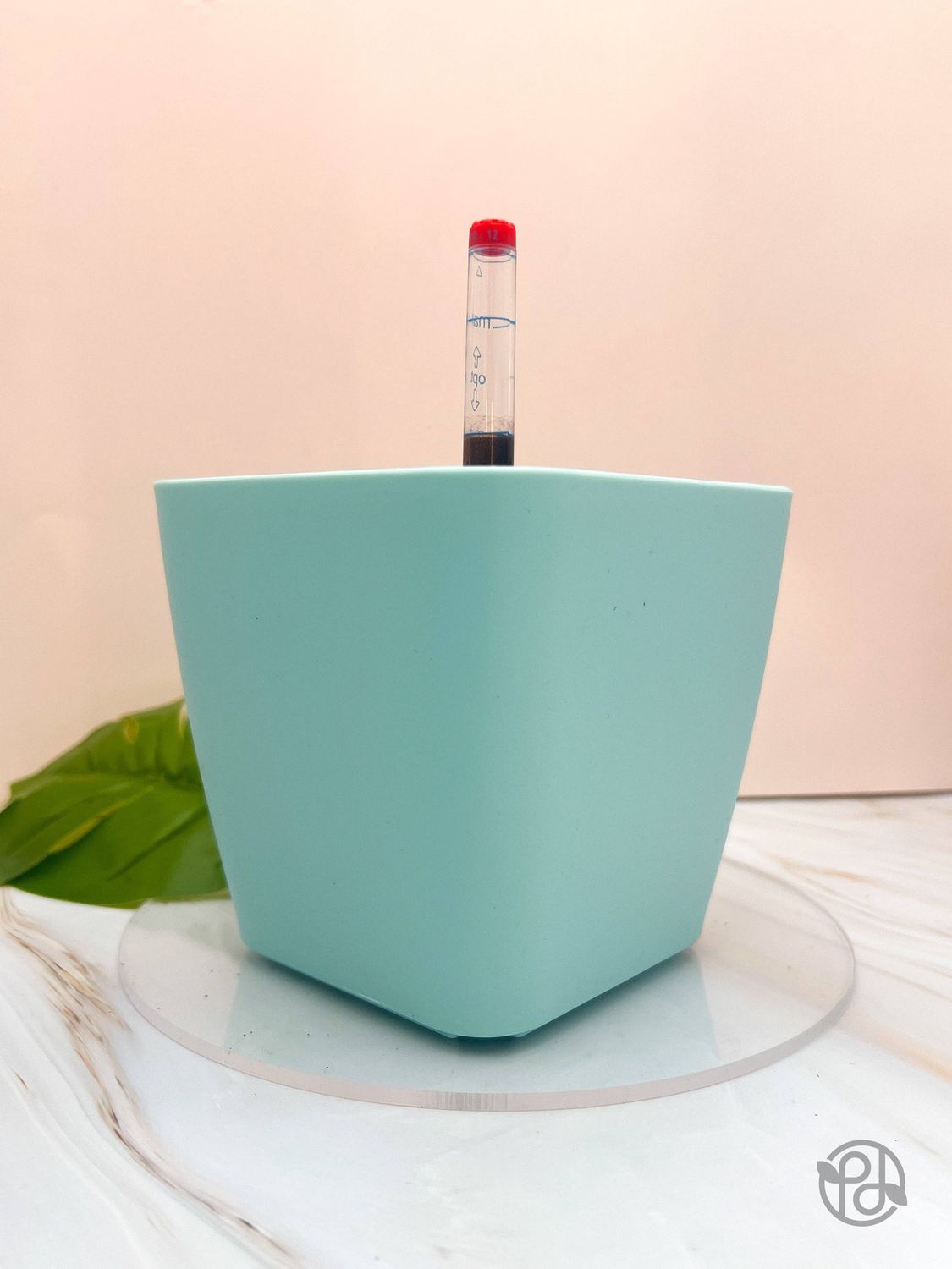 6" Self Watering Moo Pot: White