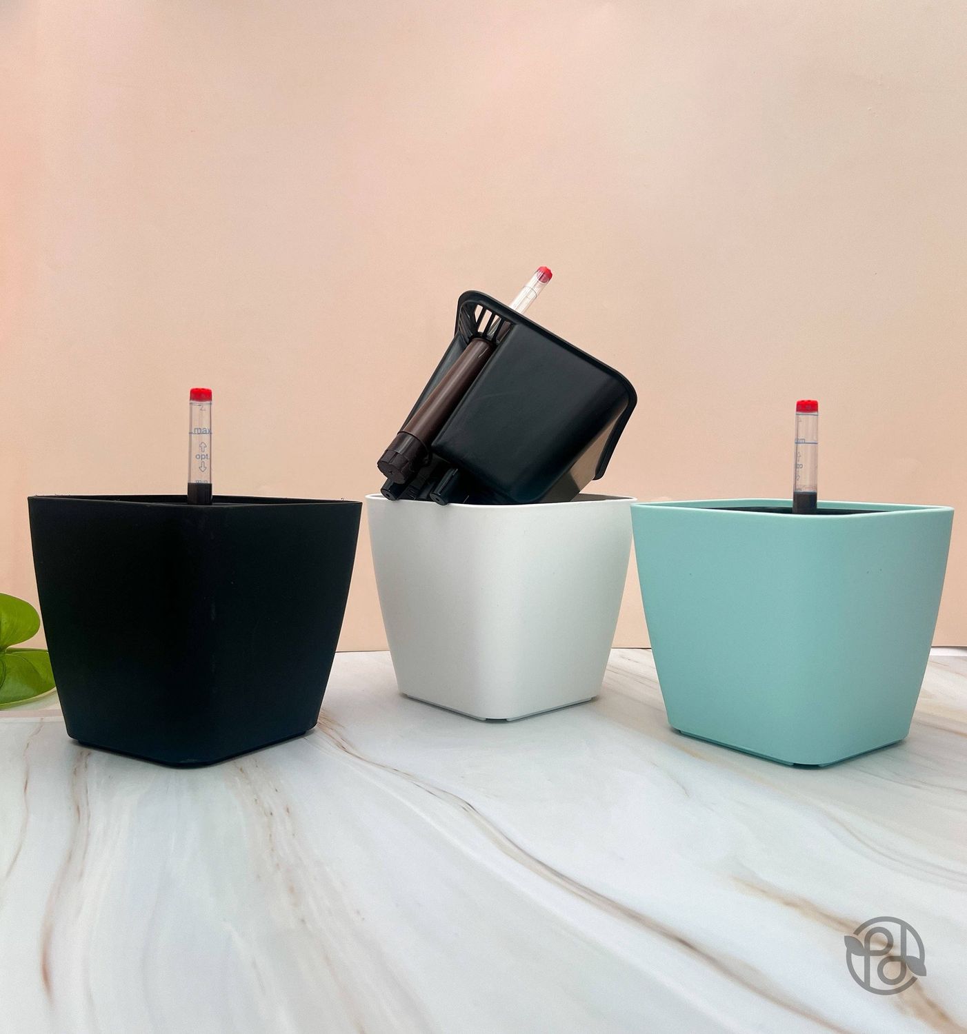 6" Self Watering Moo Pot: White