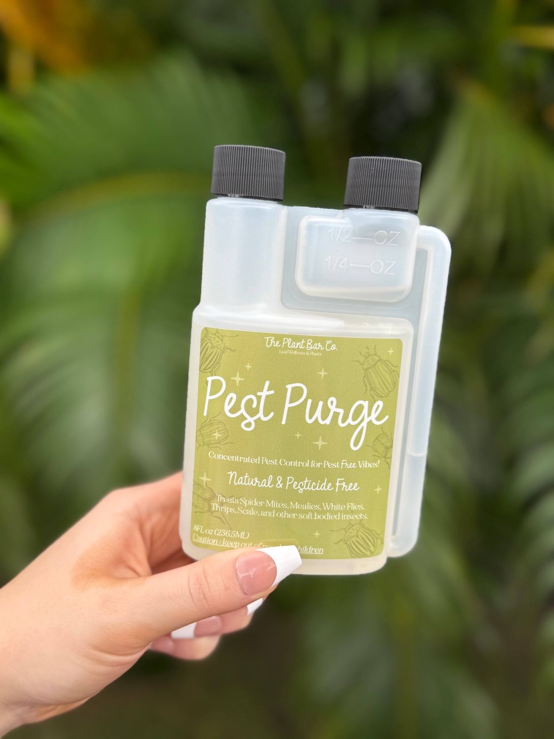 Pest Purge - Concentrated Pest Control