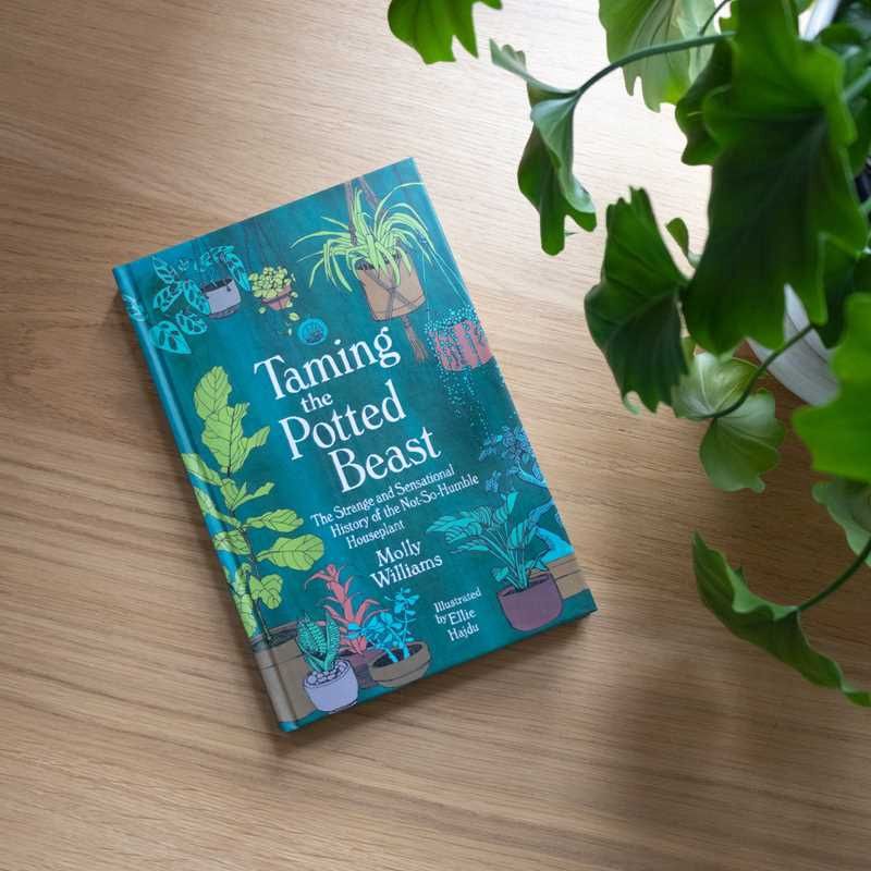 Taming the Potted Beast by Molly  Williams: Hardcover; 272 pages / English