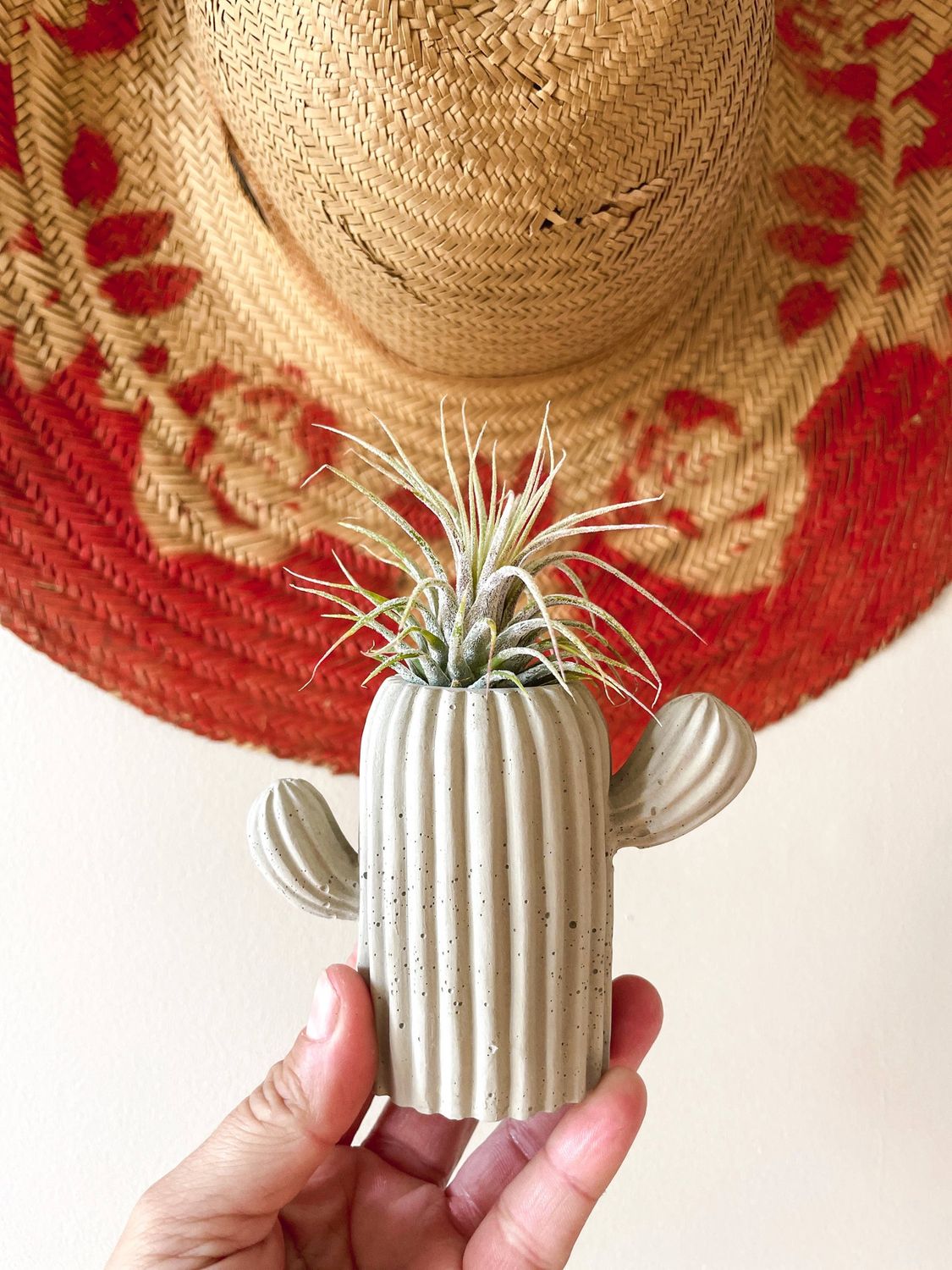 Mini Cactus: Black Bean / Non Match Holder