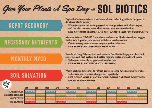 Sol Biotics - Soil Salvation - Worm Castings &amp; Biochar