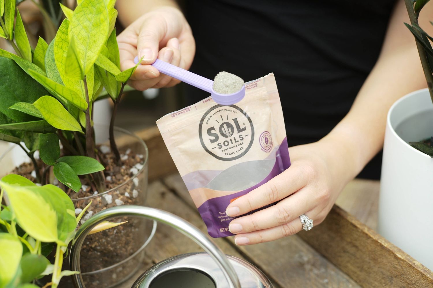 Sol Biotics - Soil Salvation - Worm Castings &amp; Biochar