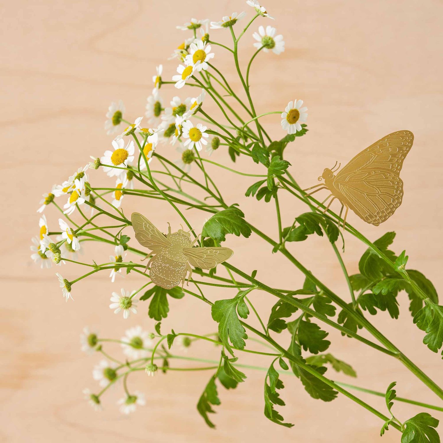Plant Animal - Bumblebee plant decor, letterbox gift