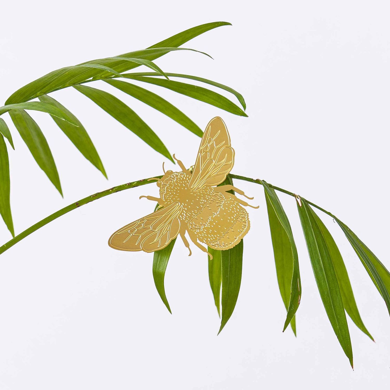 Plant Animal - Bumblebee plant decor, letterbox gift