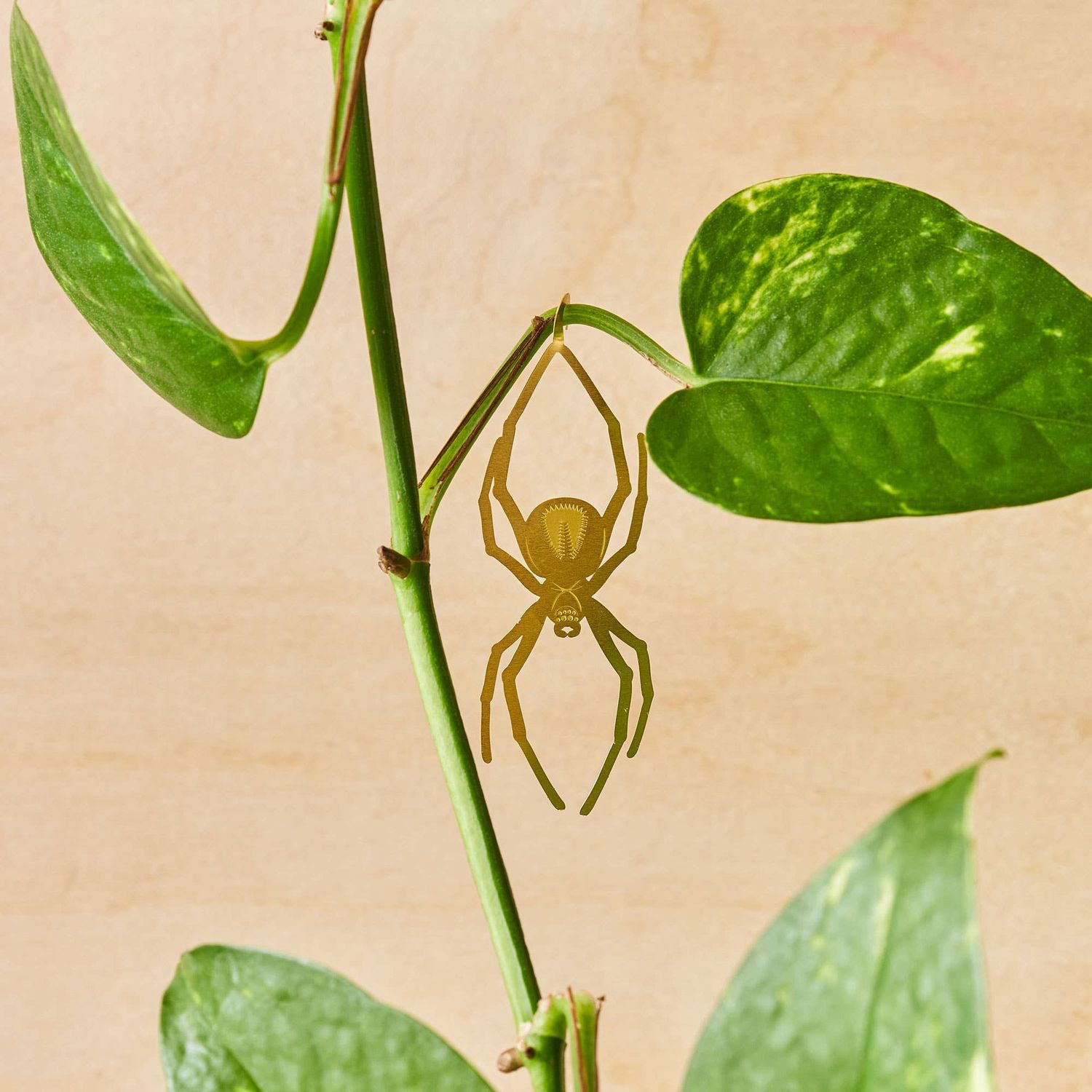 Plant Animal - Spider, Insect Charm