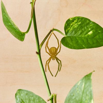 Plant Animal - Spider, Insect Charm