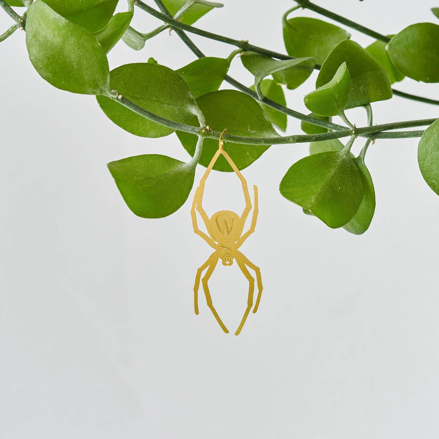 Plant Animal - Spider, Insect Charm
