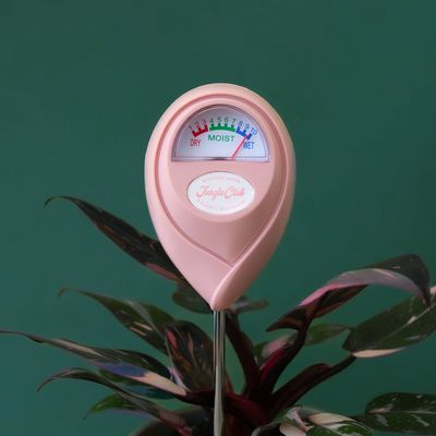 Moisture Meter | Pink | Garden Party Box
