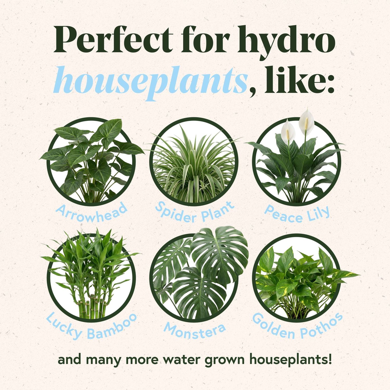 Hydro Pellets