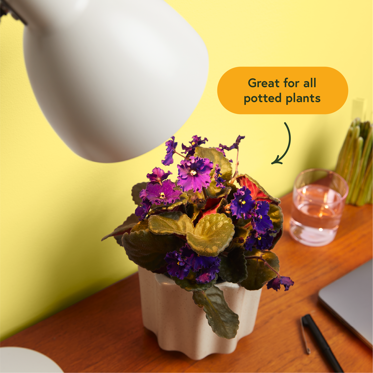Instant Sun LED Grow Light Bulb 11W