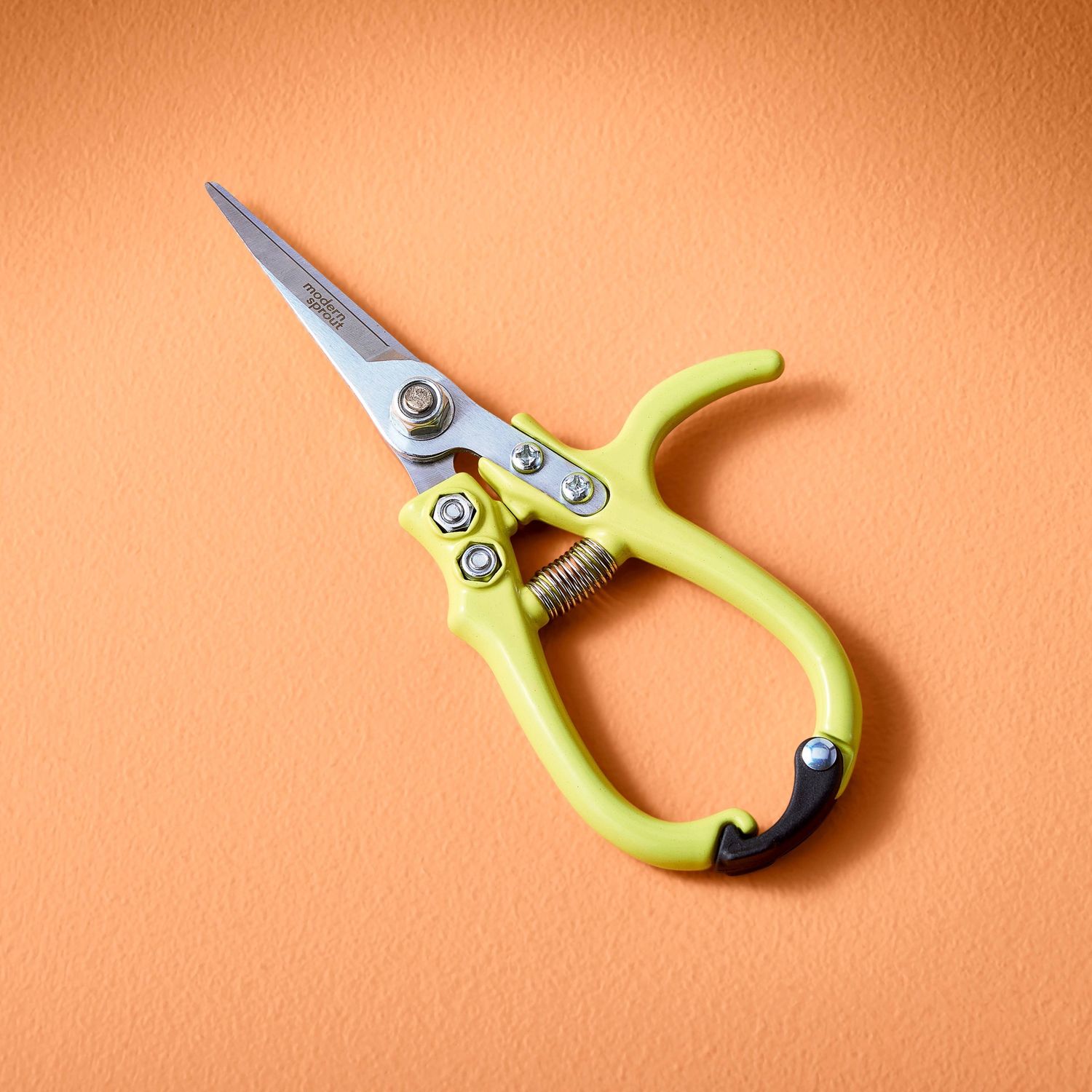 Garden Shears : Ocean