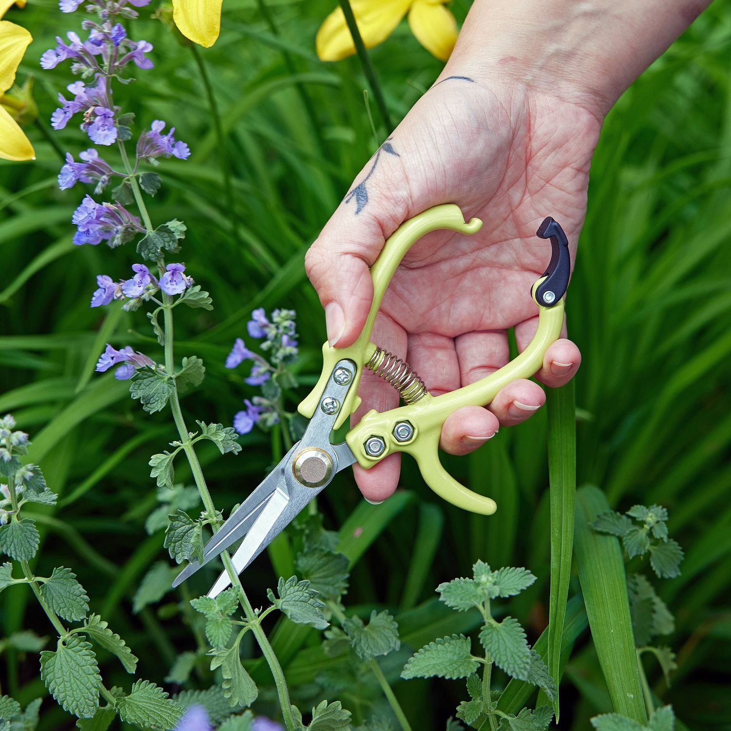 Garden Shears : Ocean