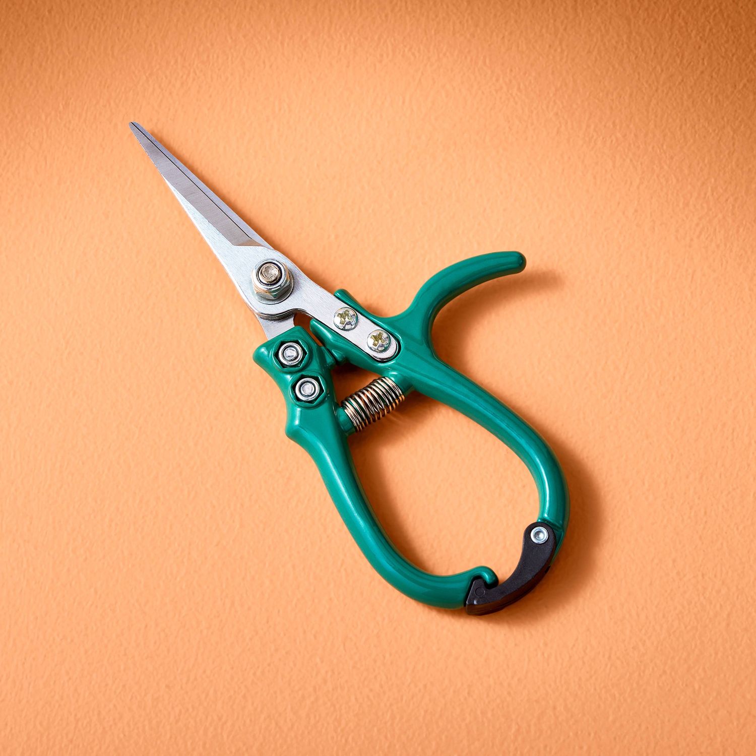 Garden Shears : Ocean