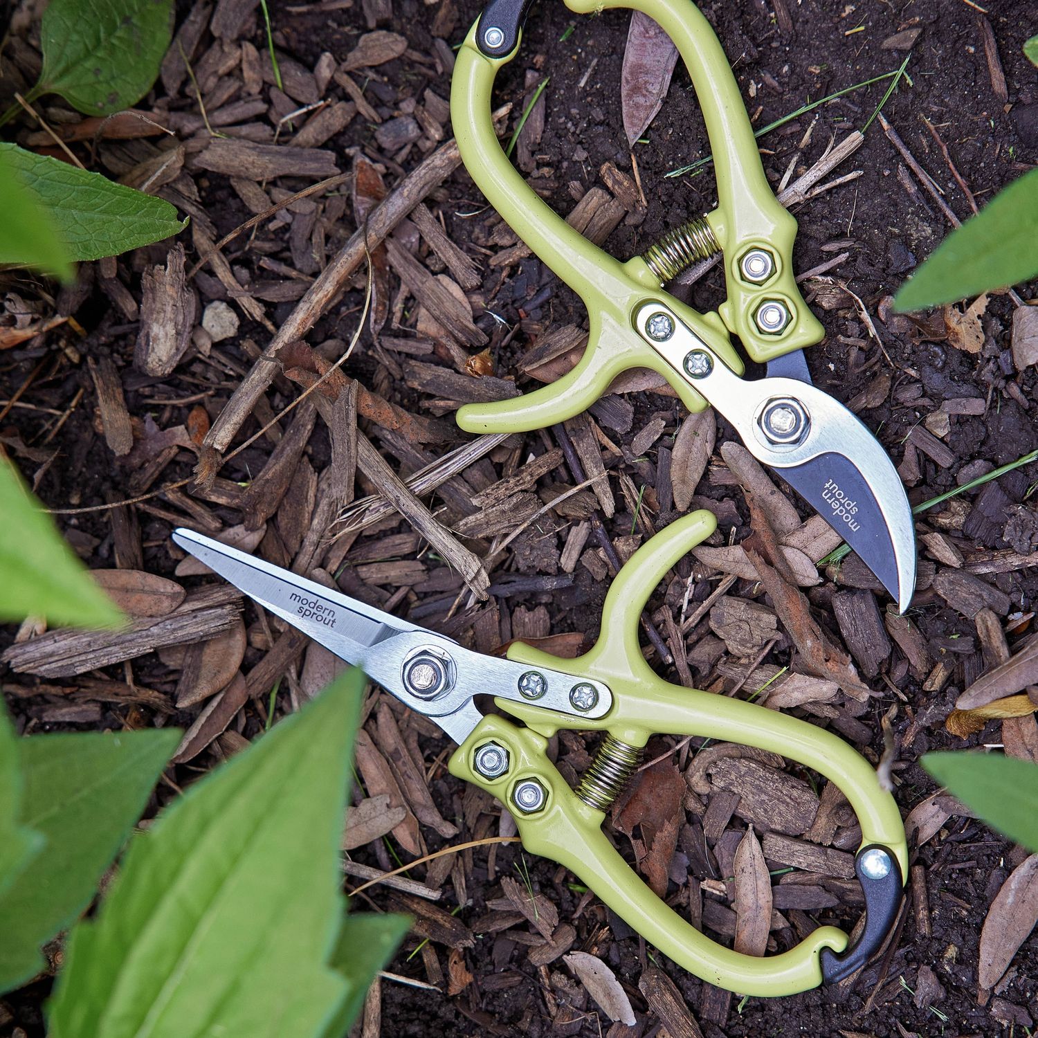 Garden Shears : Ocean