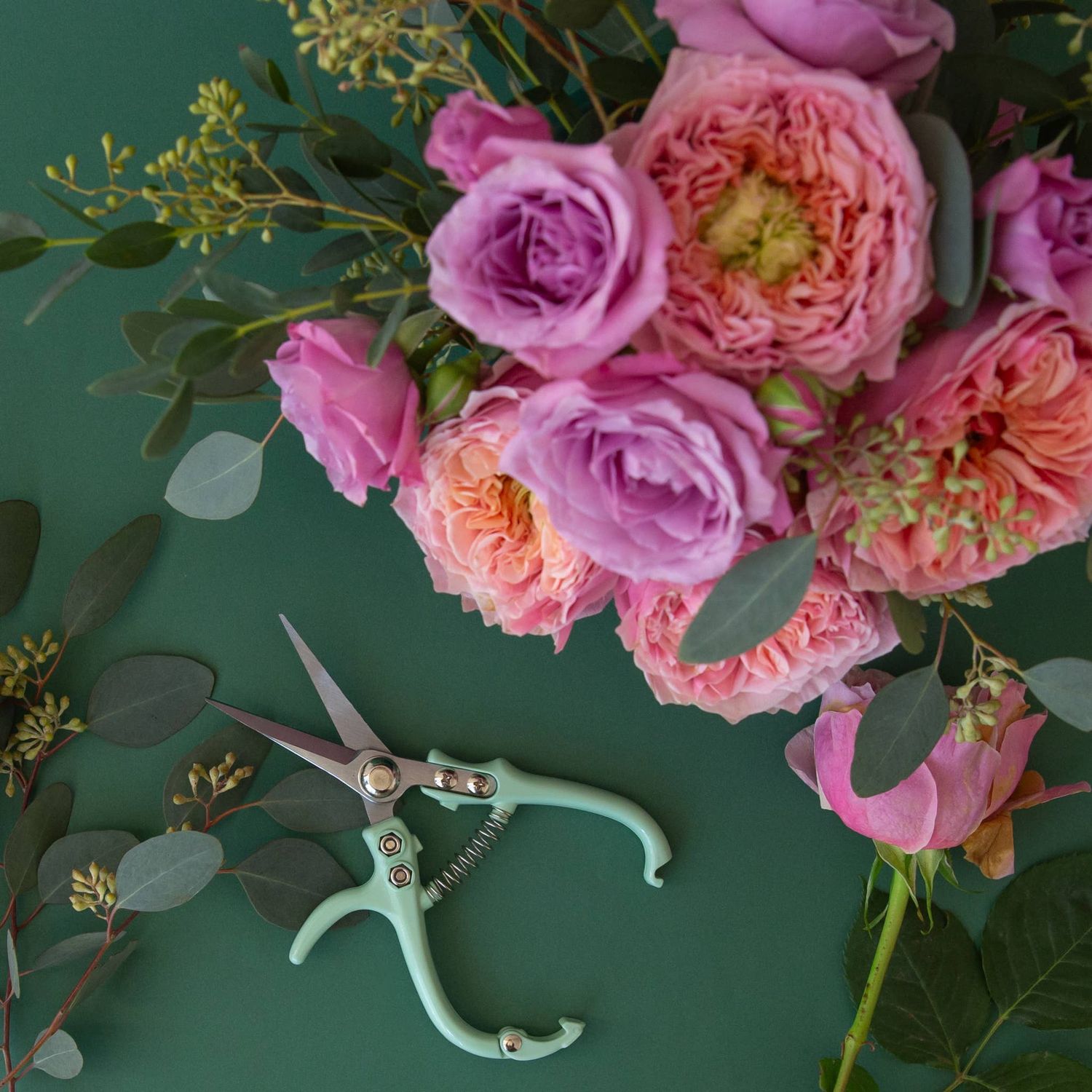 Pruning Shears | Lagoon