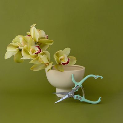 Pruning Shears | Lagoon