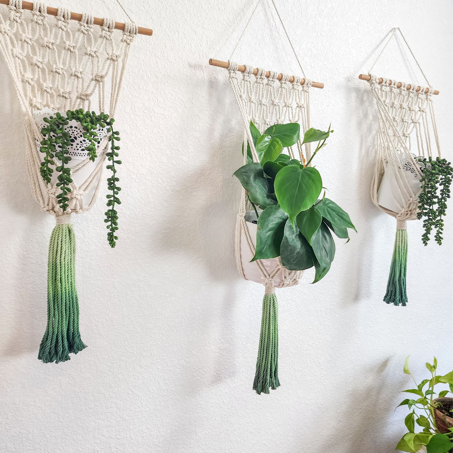 Macrame Plant Hanging for Walls with Ombre Dip-Dyed Tassels: Navy Blue