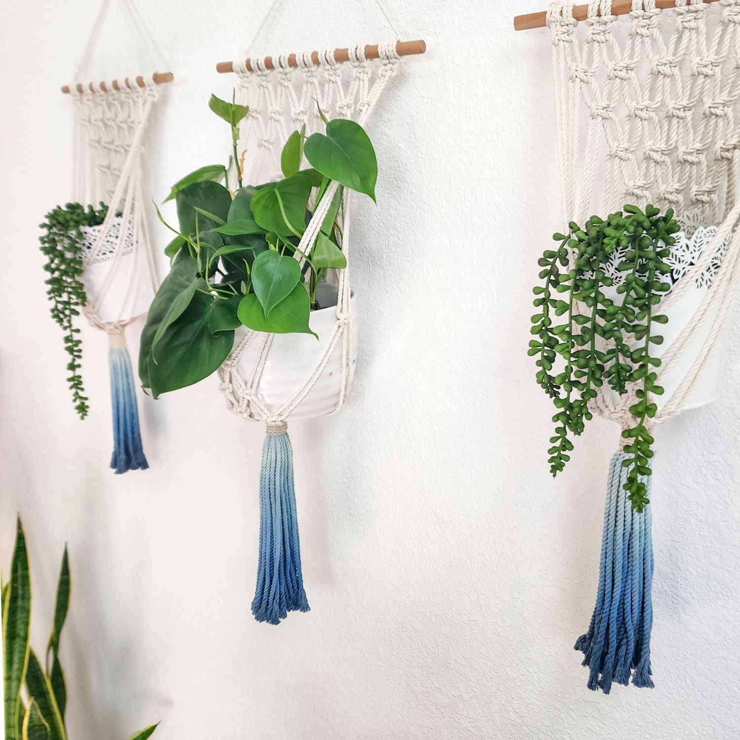 Macrame Plant Hanging for Walls with Ombre Dip-Dyed Tassels: Navy Blue