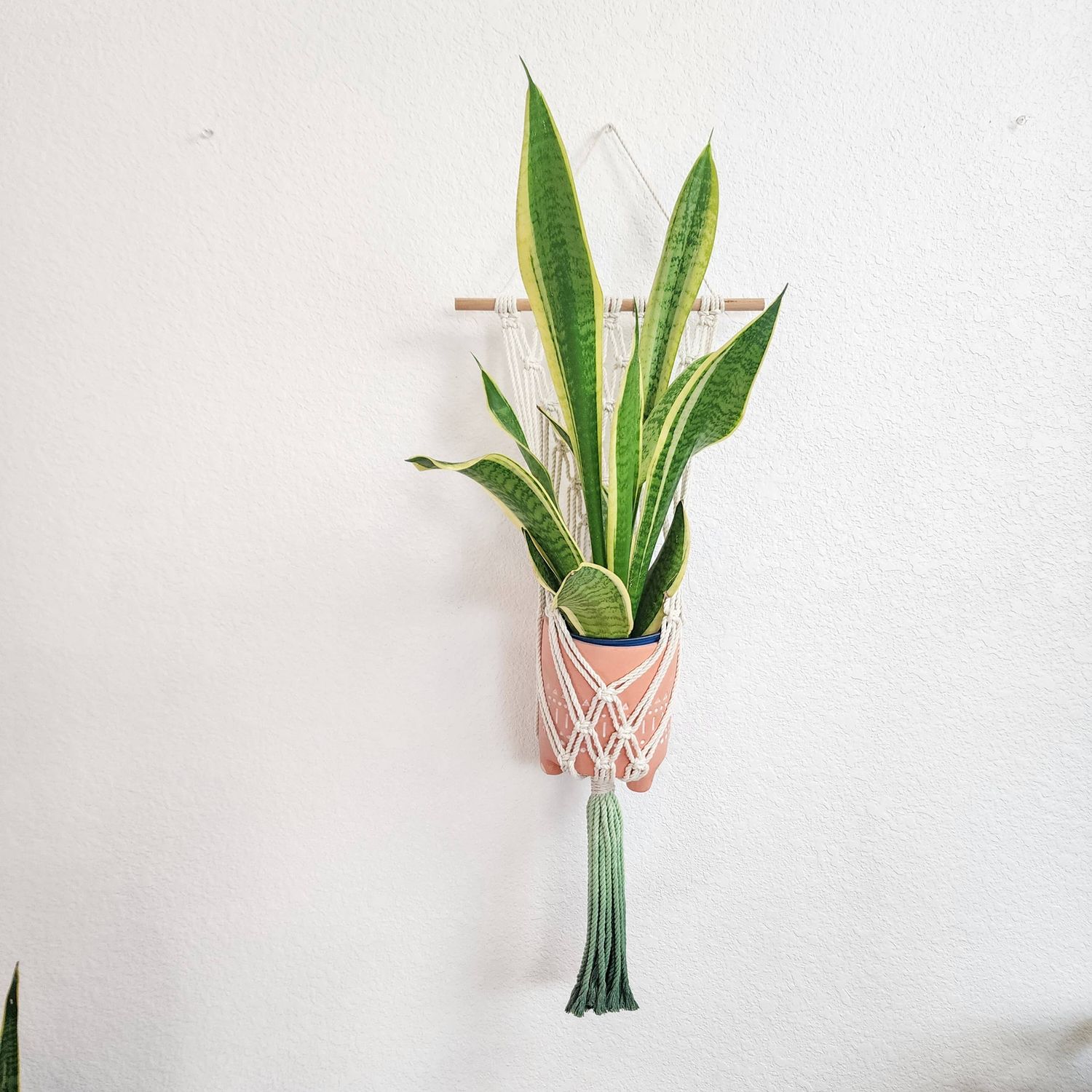 Macrame Plant Hanging for Walls with Ombre Dip-Dyed Tassels: Navy Blue