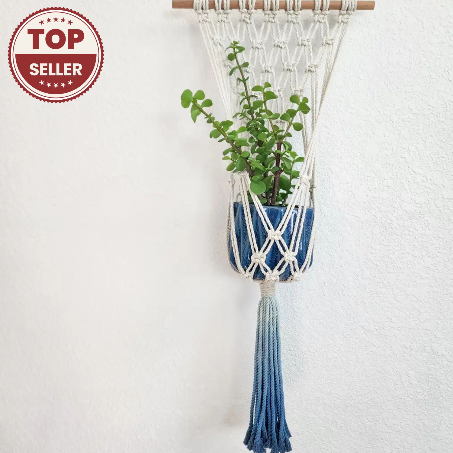 Macrame Plant Hanging for Walls with Ombre Dip-Dyed Tassels: Navy Blue