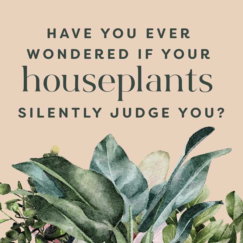 Houseplants and Their Fucked-Up Thoughts by Carlyle Christoff: Hardcover; 96 pages / English