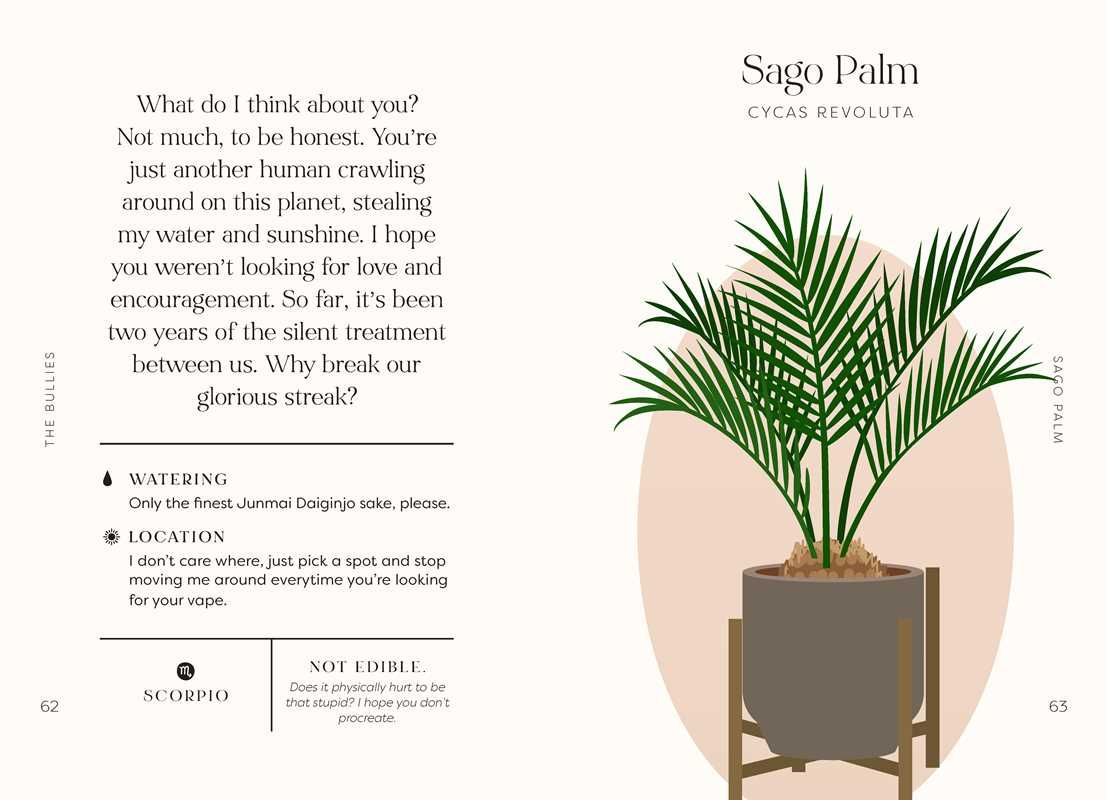 Houseplants and Their Fucked-Up Thoughts by Carlyle Christoff: Hardcover; 96 pages / English
