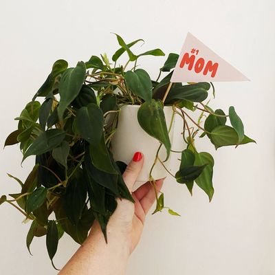 #1 MOM flag