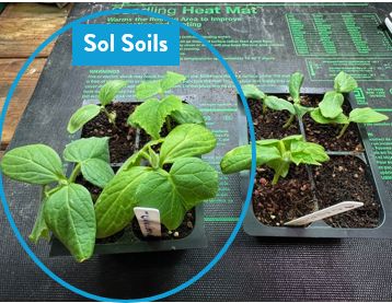 Soil (1Gal) Seedling &amp; Propagation Mix: 1 Gallon (4 quarts)