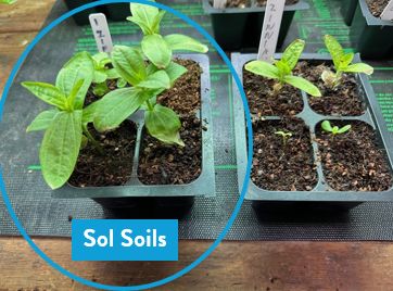 Soil (1Gal) Seedling &amp; Propagation Mix: 1 Gallon (4 quarts)